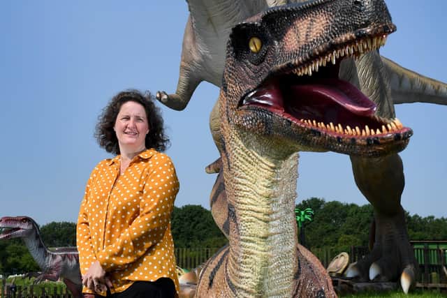 A dinosaur zone is part of the attractions. Picture: Simon Hulme