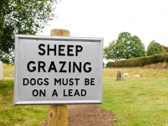 Dog owners must keep them on leads around sheep and other farm animals, police and farmers say