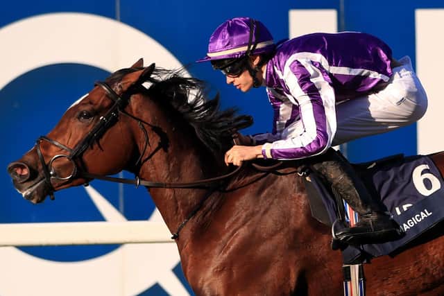 One of Donnacha O'Brien's last major successes before retiring from the saddle was Magical's success in last year's Qipco Champion Stakes at Ascot.