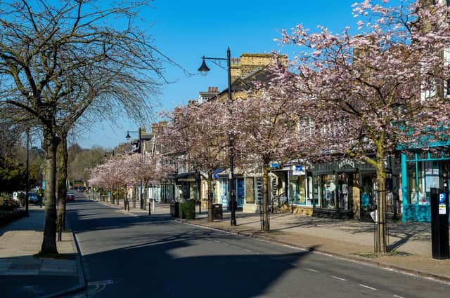Trees in blossom on The Grove in Ilkley.