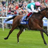 Enable and Frankie Dettori will be among the star attractions at Yrok's Ebor Festival.
