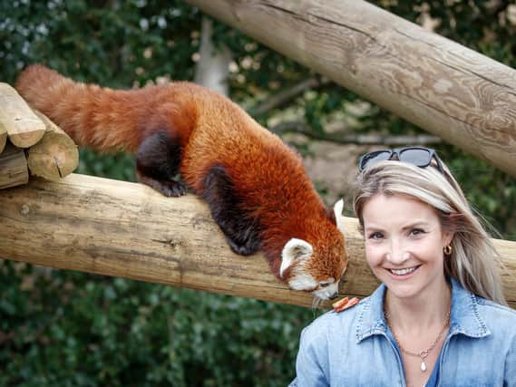 Countryfile presenter Helen Skelton feeds a red panda during a visit to the Yorkshire Wildlife Park in Doncaster to open two new expanded animal reserves: