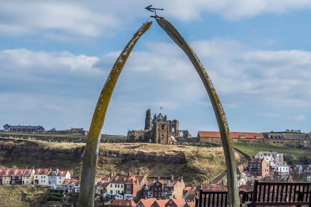 The Yorkshire coast including areas such as Whitby has a lot to offer.