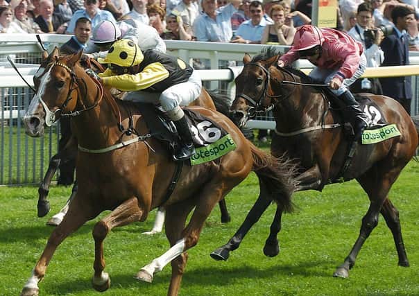 Winners: Alan Munro and Sergeant Cecil surge clear in the 2005 Ebor. Picture: John Giles/ PA