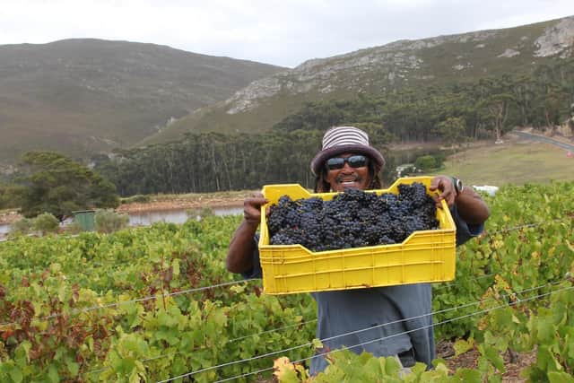 Winemakers in South Africa are asking for support.