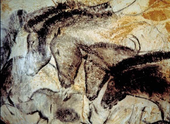 Cave art of horses in the Chauvet Cave, France.