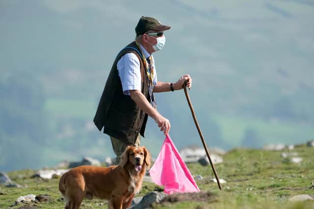 Vincent Lynch, 72, beating grouse with his dog during a shooting party on the moor near Grinton.