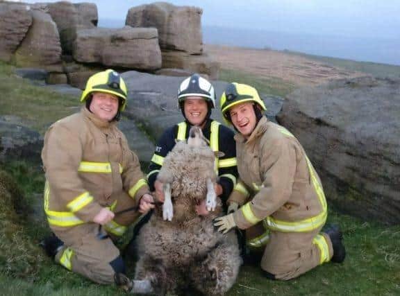 Non-fire call-outs include animal rescues. Picture: West Yorkshire Fire & Rescue Service
