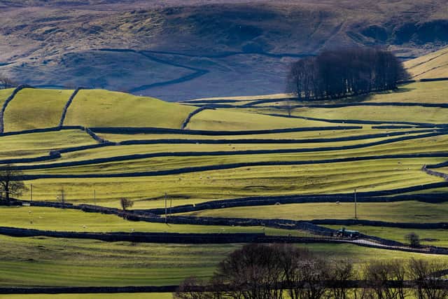 Could a focus on rural votes help the Labour Party?