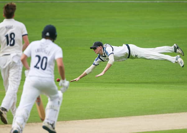 Yorkshire's Harry Brook dives for a catch. Picture: Alex Whitehead/SWpix.com