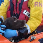 Sammy in the care of the RNLI crew