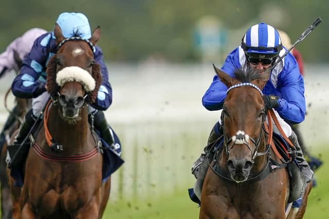 Battaash (right) gets the better of Que Amoror (left) in the Coolmore Nunthorpe Stakes.