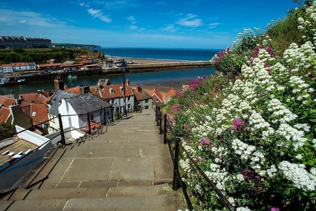 Wild flowers decorate the side of the 199 steps which lead up to St Mary's Church and the Abbey in Whitby. (Bruce Rollinson).