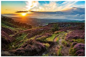 The sun setting over Ilkley Moor which is covered with purple flowering heather. Picture Bruce RollinsonTech Details: Nikon D4, 24-70mm Nikkor lens, 125th sec @f8, 400iso.