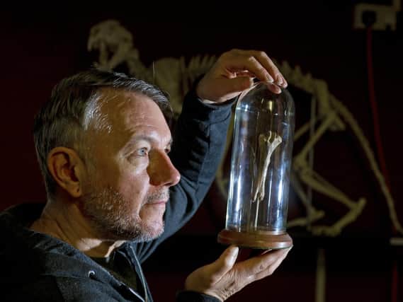 Alan taking a close look at a skeleton at his museum near Doncaster. (Tony Johnson).