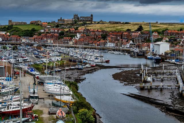 Towns like Whitby are dependent on the internet, writes GP Taylor.