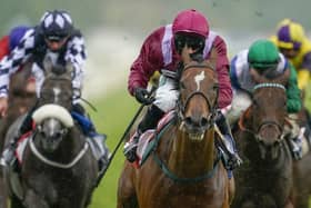 This was Safe Voyage and Jason Hart winning the City of York Stakes at a rain-soaked York.