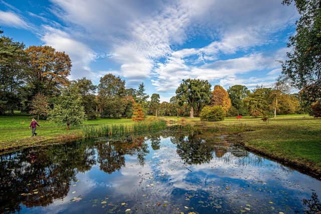 Autumn colours at Thorp Perrow Arboretum near Bedale, North Yorkshire.  Photo: Charlotte Graham / CAG Photography Ltd.