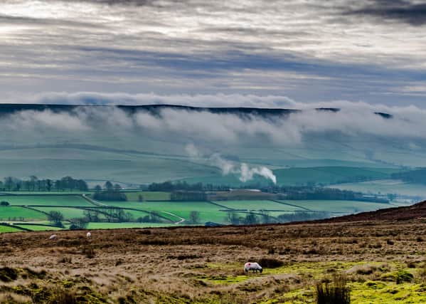The fuutre governance of North Yorkshire is in the political spotlight. Photo: James Hardisty.