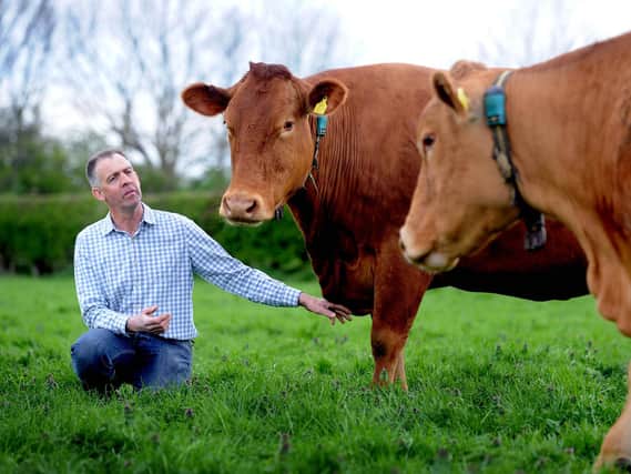 Mike Powley has been working to help lift the ban on British beef in the US