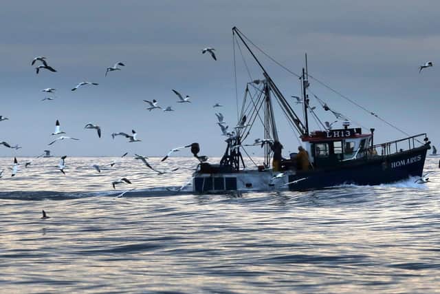 Grimsby MP Lia Nici says Brexit will provide new opportunities for the town's fishing industry.