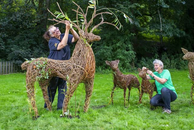 Leilah Vyner with volunteer Lesley Sykes working on the living willow sculptures installed in at Sands Recreation Ground in Holmfirth as part of the Holmfirth Arts festival. Photo credit: Tony Johnson/JPIMediaResell