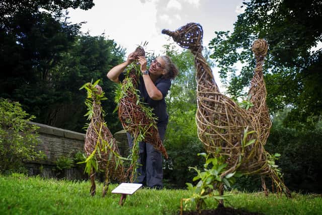 Pictured, Leilah Vyner of Dragon Willow with her living willow heron sculptures installed in at Sands Recreation Ground in Holmfirth. Photo credit: Tony Johnson / JPIMediaResell