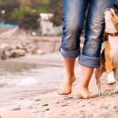 Three beaches in Yorkshire have been named as the top places to take your dog this summer
