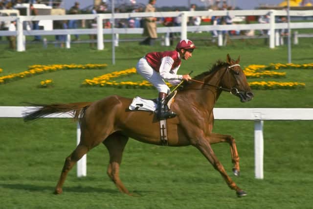 This was Oh So Sharp and Steve Cauthen cantering to the start ahead of the 1985 St Leger at Doncaster.