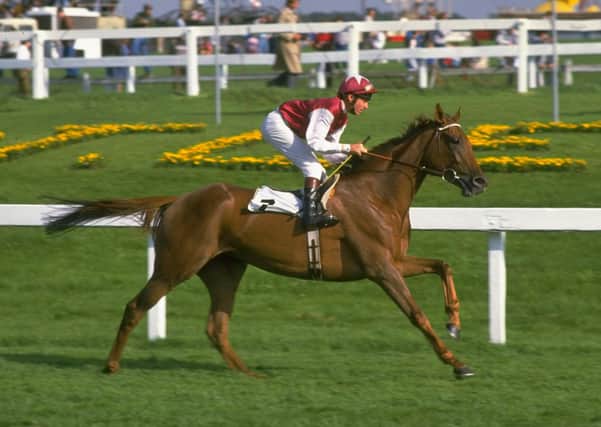 This was Oh So Sharp and Steve Cauthen cantering to the start ahead of the 1985 St Leger at Doncaster.