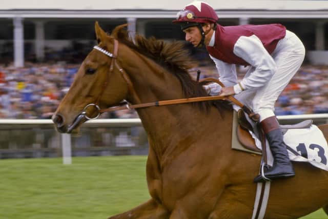 Oh So Sharp got on the line at Newmarket to win the 1000 Guineas under Steve Cauthen in the colours of Sheikh Mohammed. Photo: York Racecourse.