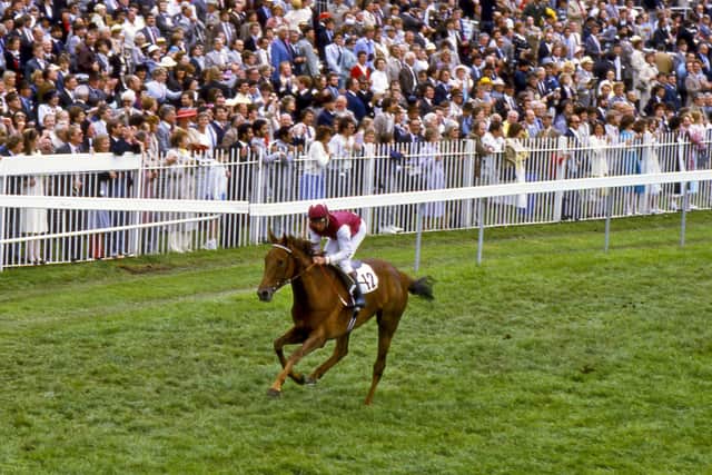 Oh So Sharp was a majestic winner of the 1985 Oaks - the second leg of the Triple Crown - under Steve Cauthen. Photo: York Racecourse.