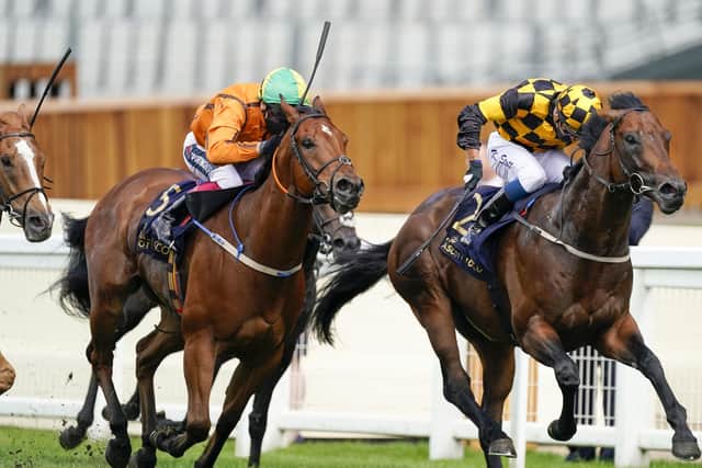 This was Hello Youmzain (right)and Kevin Stott battling to the line in the Diamond Jubilee Stakes at Royal Ascot.