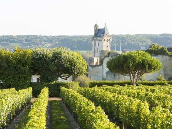The Loire region is dotted with châteaux and vineyards. Picture: Stevens Frémont