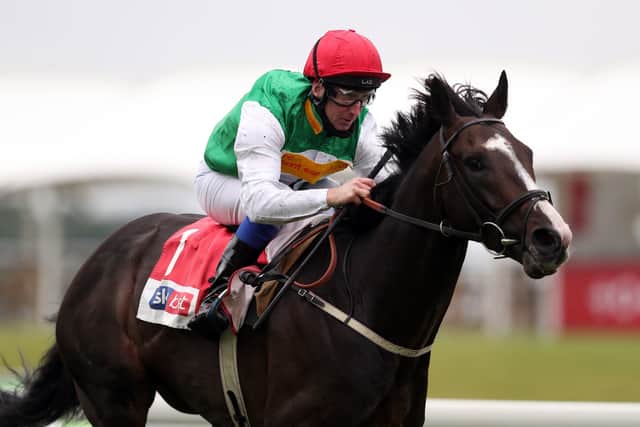 William muir's Pyledriver galloped into Pertems St Leger contention when landing the Sky Bet Great Voltigeur Stakes at York under Martin Dwyer, a former Derby-winning jockey.
