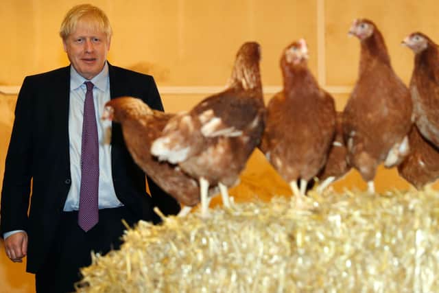 Is Boris Johnson doing enough to support the agricultural industry?