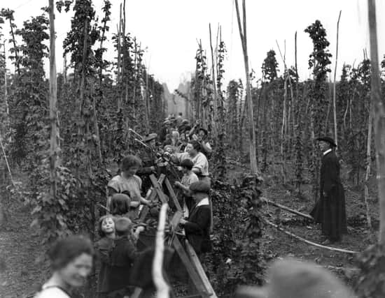 1921:  A group of people pick hops at Paddocks Wood in Kent watched over by a Reverend gentleman.  (Photo by Central Press/Getty Images)
