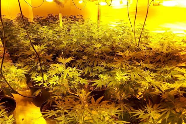 A cannabis farm discovered by police in Rotherham, showing the kind of equipment being increasingly found dumped in rural areas. Picture: South Yorkshire Police