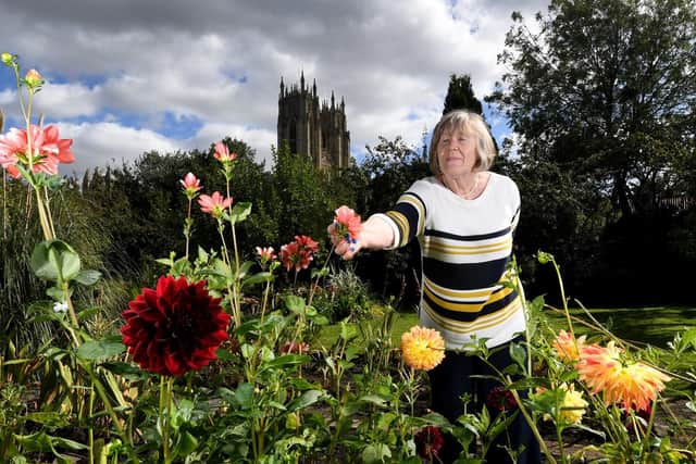 Sue Robson in the garden, which supplies flowers for displays in Beverley Minster and fruit for the catering team
