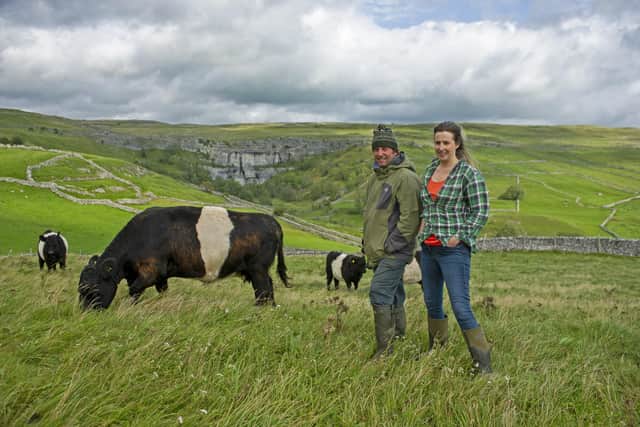 Farmers Leigh Weston and Neil Heseltine with their Belted Galloway cattle above Hill Top Farm in the shadow of Malham Cove. The couple have a bunkhouse and are among the tourism businesses in the Dales hoping to benefit from the new series of All Creatures Great and Small. Picture Tony Johnson