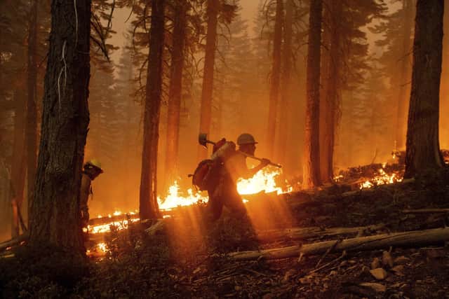 Is the frequency of wild fires in the United States conclusive evidence of climate change?