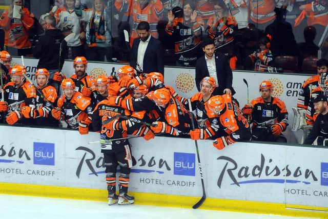 Aaron Fox remains hopeful he will be able to get behind the bench again to coach his Sheffield Steelers'team early in 2021. Picture: EIHL.