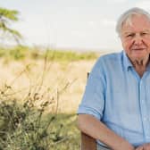 Sir David Attenborough cautioned against inaction on climate change in a recent documentary.