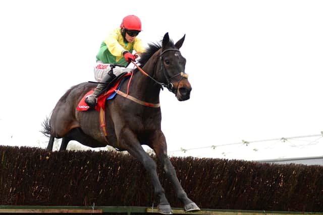 Sizing John helped launch the riding career of Jonathan Burke (pictured).