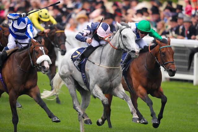 The grey Lord Glitters is seen winning the Queen Anne Stakes at Royal Ascot under Danny Tudhope.
