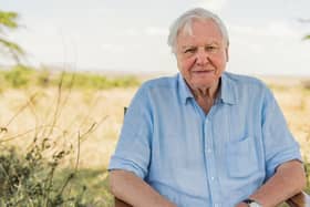 Sir David Attenborough in the Maasai Mara, Kenya, filming his feature documentary David Attenborough: A Life On Our Planet. Picture: Conor McDonnell/WWF-UK/PA.
