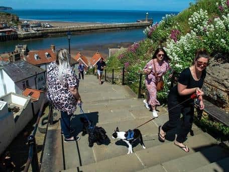 Whitby Town Council is urging local people to heed the latest advice from North Yorkshire’s Public Health Department and encourage visitors to do likewise. Photo credit: Bruce Rollinson/JPIMedia