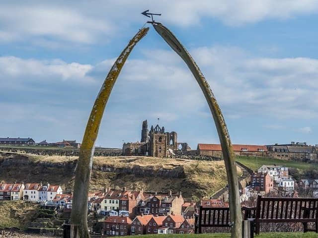 Pictured A view towards Whitby Abbey through the replica Whale's jaw bone which replaced the original archway that was erected in 1853.
Camera Details: Nikon D5, Lens Nikon N VR 70-200mm, Shutter Speed 1/250s, Aperture f/5.6, ISO 80. Pic: James Hardisty