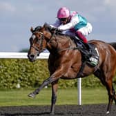 Treble chance: Enable is aiming for a third win in the Prix de l’Arc de Triomphe in Paris on Sunday. Picture: PA