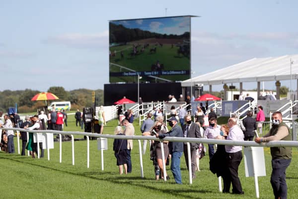 Lifeblood: BHA chair Annamarie Phelps says the decision to stop crowds returning to racecourses on October 1 is “devastating” for the sport. Picture: PA